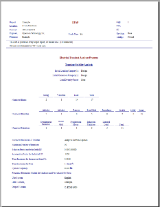 Transient Stability Software Report