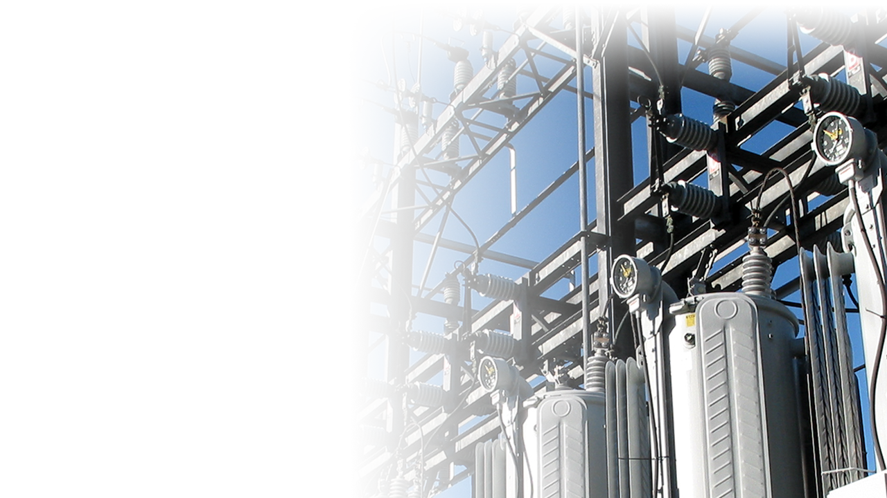 Power System Optimization